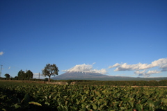 秋の富士山景　4