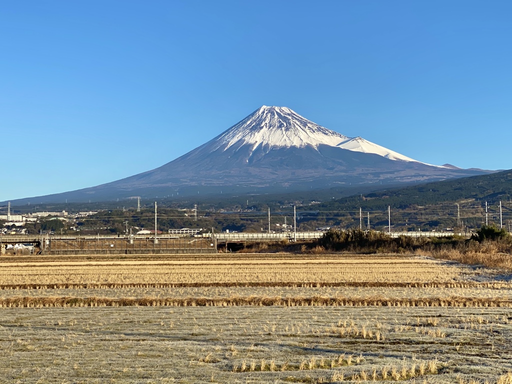 今年もよろしくお願いします