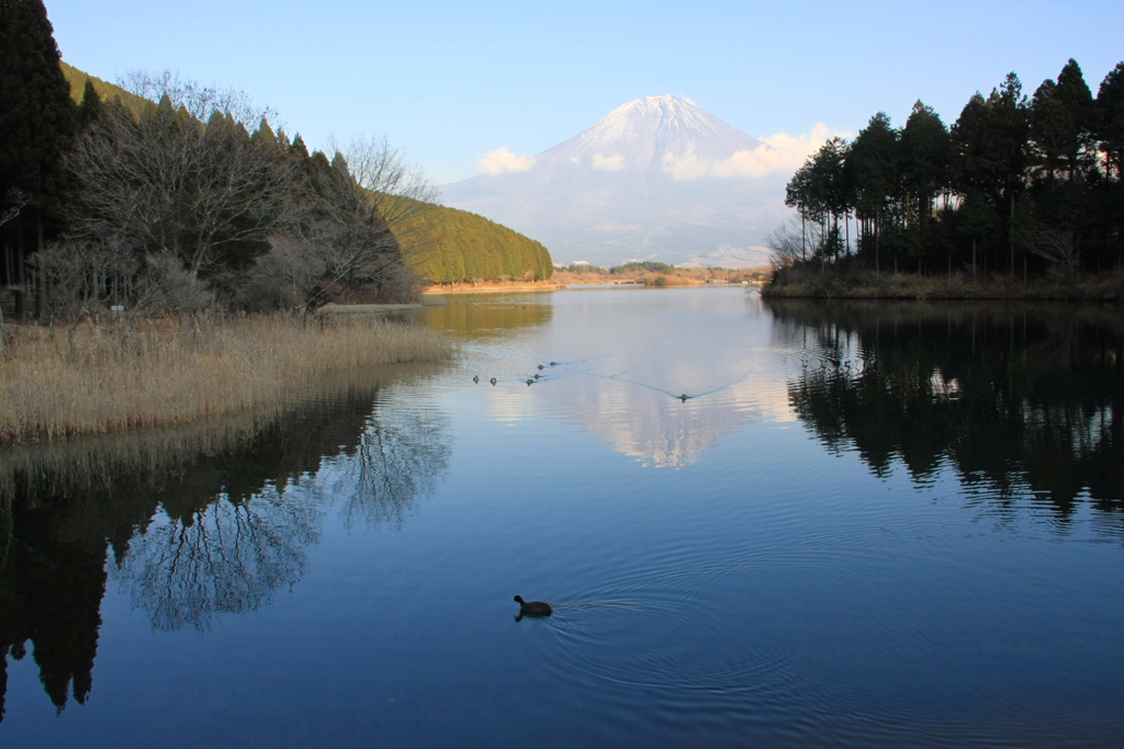 ある日の田貫湖