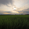 夕暮れ