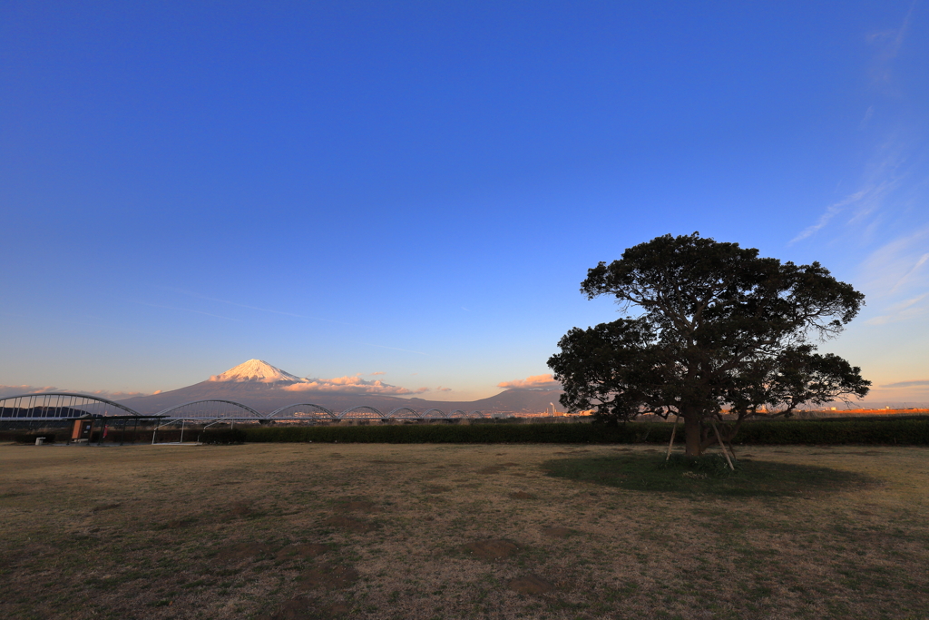 河川敷の夕暮れ　4
