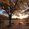 休日の夕暮れ公園