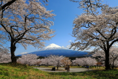 春富士
