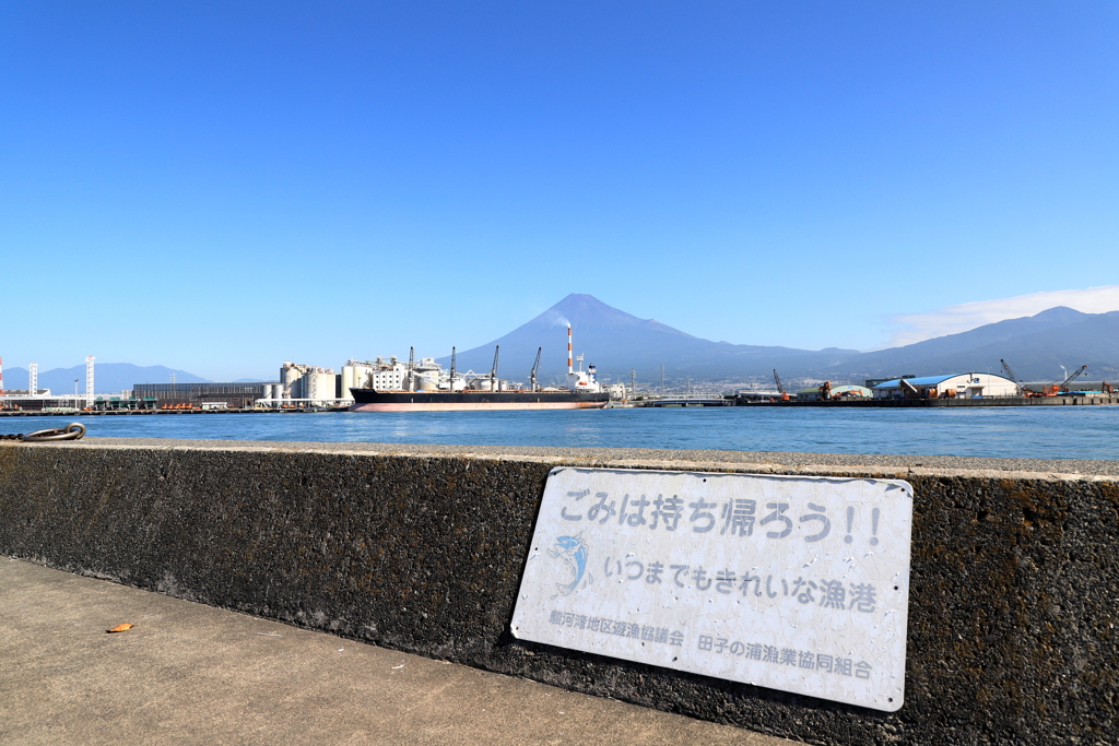 9月の田子ノ浦港　4