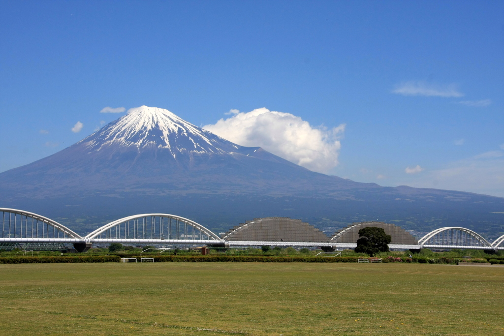 五月の富士川河川敷　２