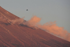 田貫湖の富士景　9