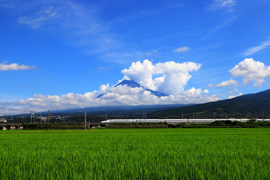 いつもの場所から　夏空