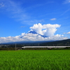 いつもの場所から　夏空