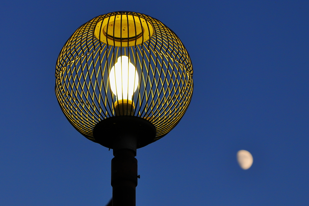 月と外灯
