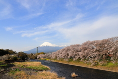龍巌淵の桜　Ⅱ