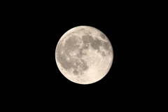 今夜の月