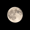 今夜の月