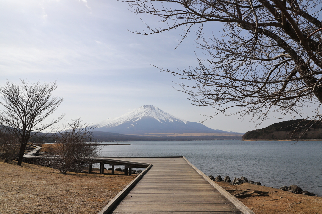 山中湖　きららより　3