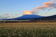らしくなった富士　2