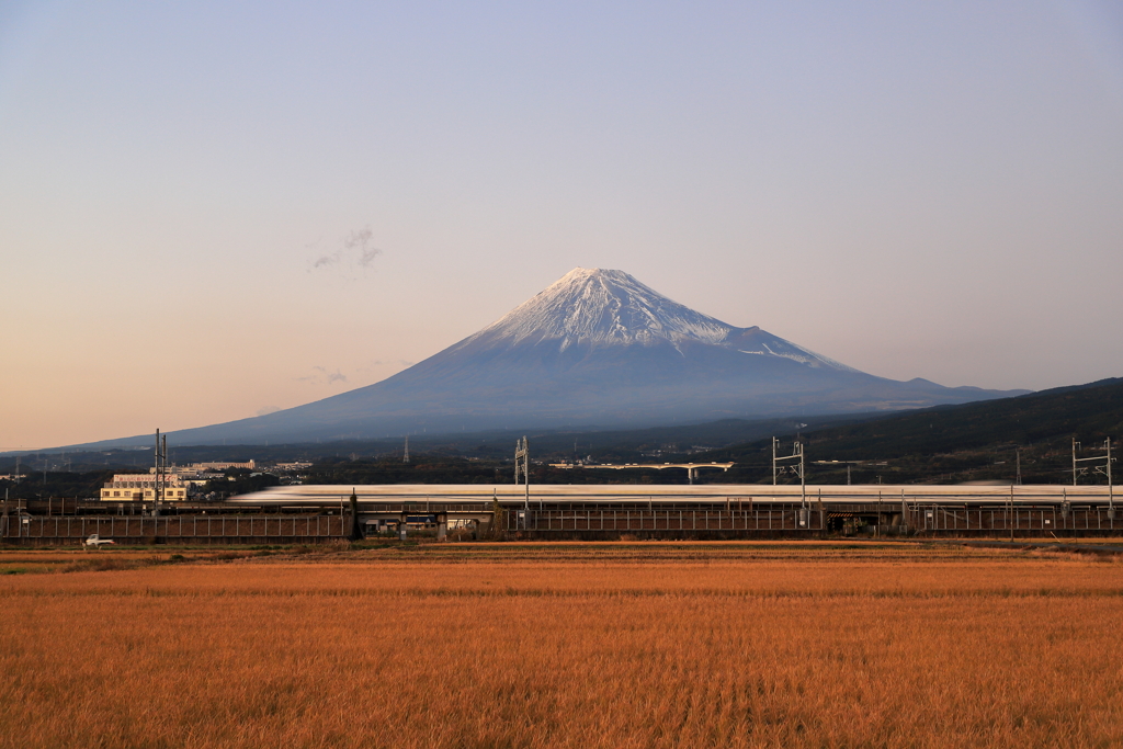 いつもの場所から、ちょっと積雪　2