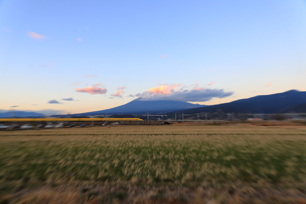 ラスト・イエロー　Ⅱ