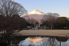 ２月　公園　富士　2