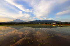 5月の田園