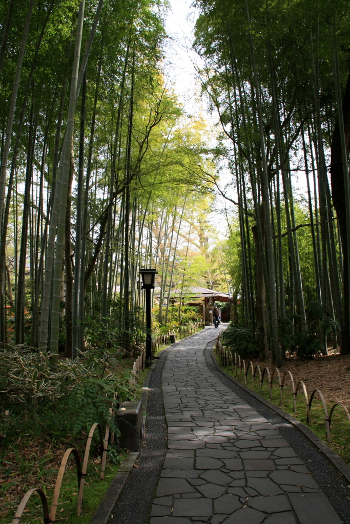 修善寺景　９