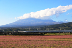 富士と蓮華と新幹線Ⅱ