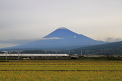 ちょっと、積雪Ⅱ。