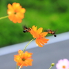 順番待ち
