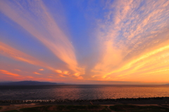 エキゾチック・ジャパン