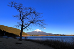 冬の田貫湖　Ⅱ