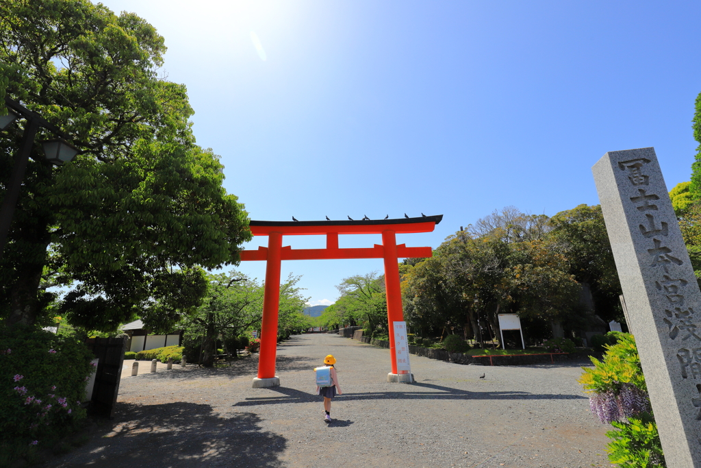 お帰り～！！、鳩もお出迎え(^0^)