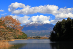 雲の影