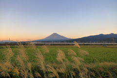 いつもの場所から