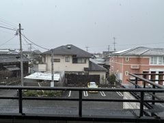 雪降るの何年ぶり？　3
