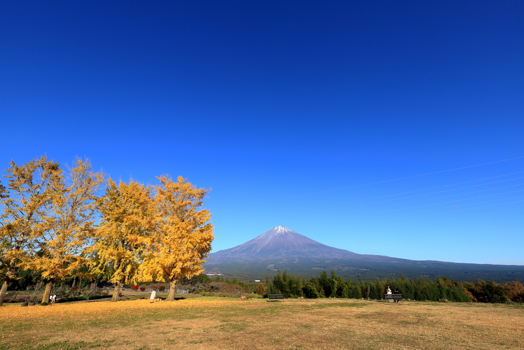大空に向かって