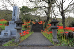赤い参道