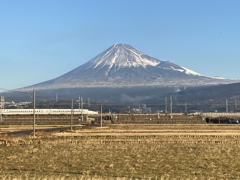 雨の後の富士山ですが、、、。