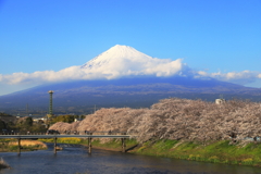 龍巌淵の春