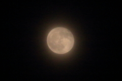 おぼろ月夜