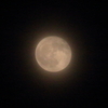 おぼろ月夜