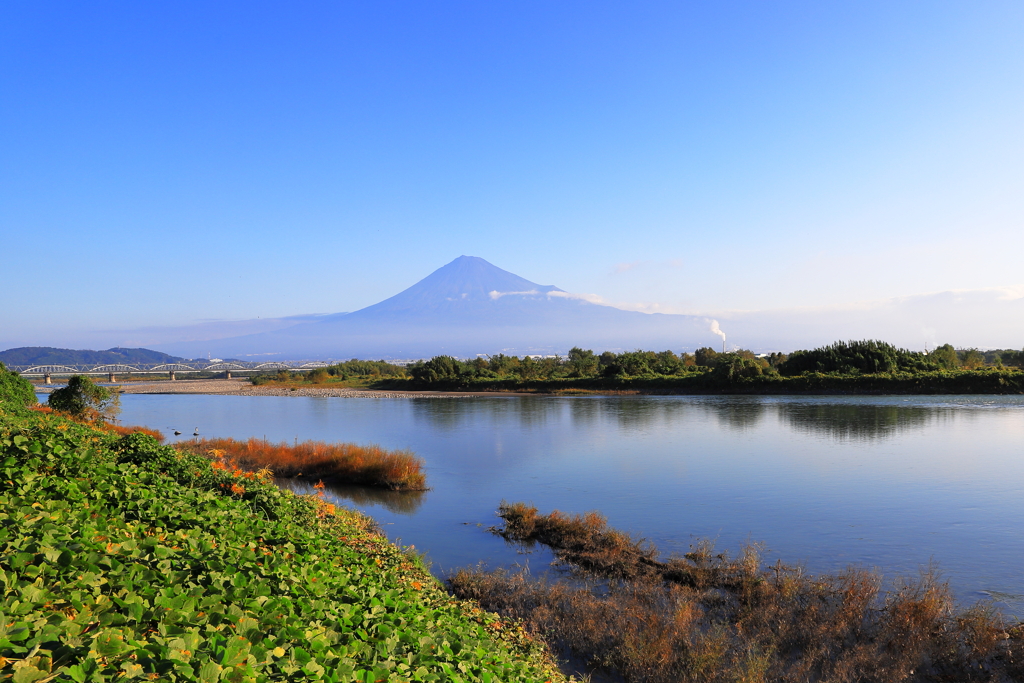 富士川、河川敷より