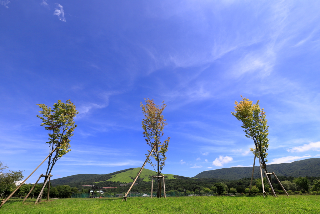 夏空