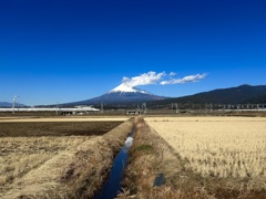ウォーキング中に