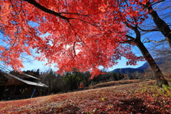 最後の彩り