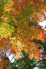 グラデーション　2