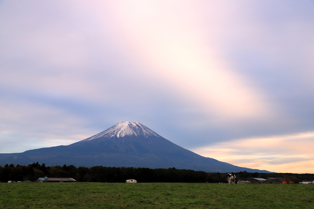 朝霧高原