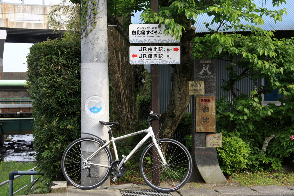 ここは由比。