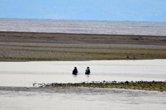河のなかの釣り人