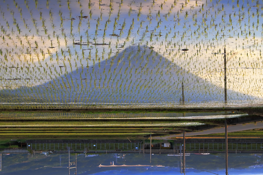 水田の空