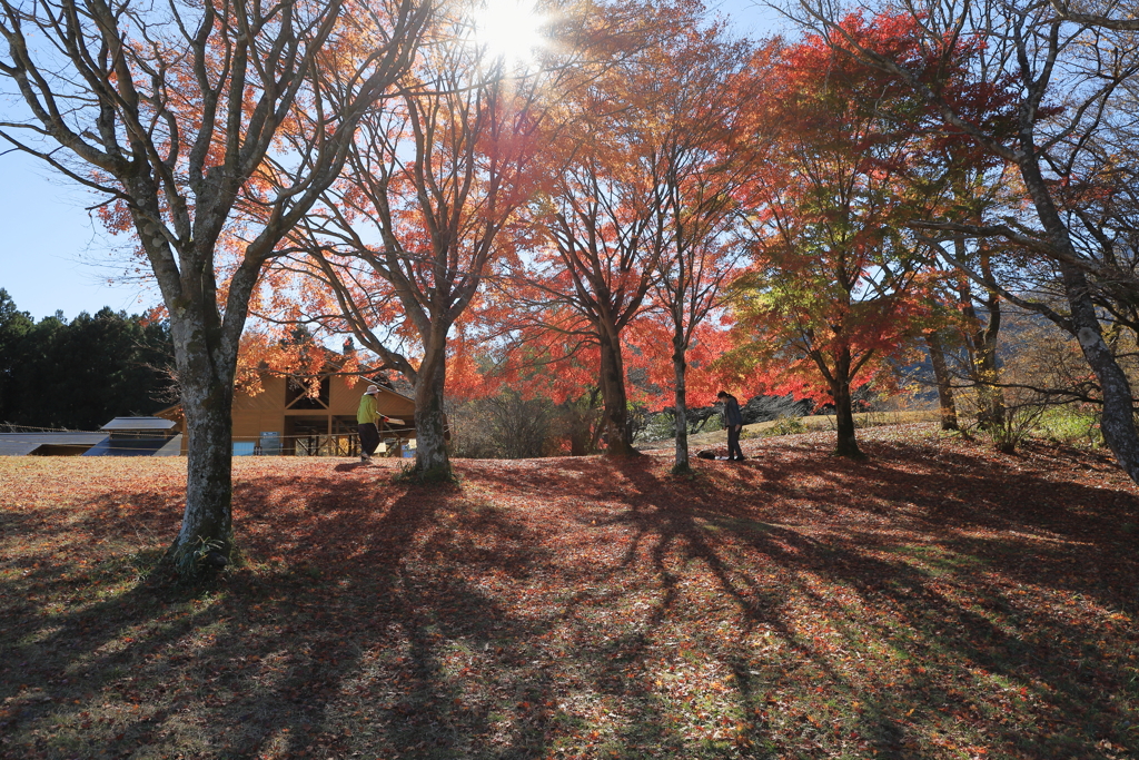 田貫湖、秋景2