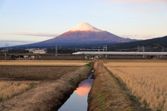 皆様、良いお年を！　3