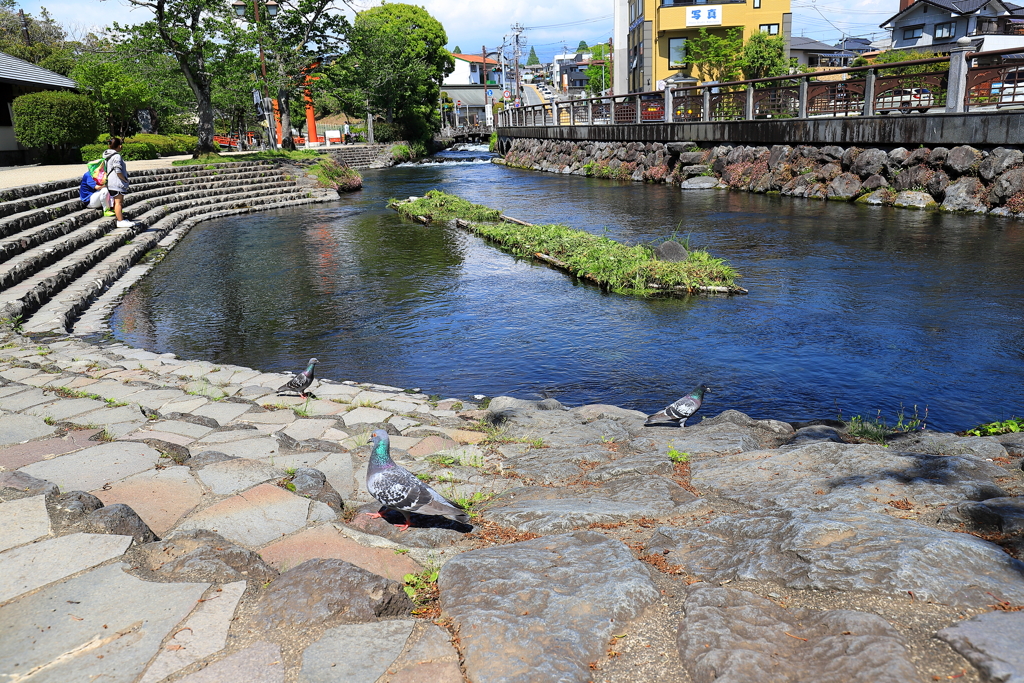 神田川　1